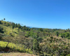 1 Hectare Property in Boca Chica Panama
