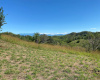 Boca Chica, Chiriqui, Panama,Land,For Sale