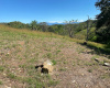 Boca Chica, Chiriqui, Panama,Land,For Sale