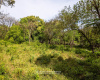 Boquete, Chiriqui, Panama,Land,Sold Boquete, Chiriqui, Panama,Land,Sold
