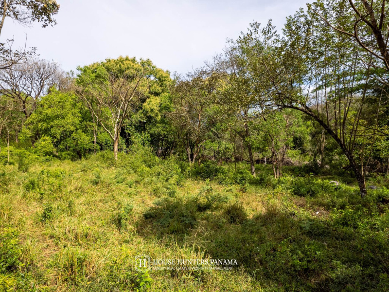 Boquete, Chiriqui, Panama,Land,Sold Boquete, Chiriqui, Panama,Land,Sold