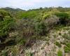 Boquete, Chiriqui, Panama,Land,Sold Boquete, Chiriqui, Panama,Land,Sold