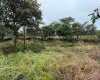 El Francés lot for sale
Alto Boquete real estate
Boquete building lot
Land for sale in Boquete
Panama building lot
Chiriquí land for sale
Mountain view lot Panama
Boquete homesite
Boquete investment property
Build your dream home in Boquete