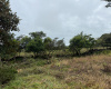 El Francés lot for sale
Alto Boquete real estate
Boquete building lot
Land for sale in Boquete
Panama building lot
Chiriquí land for sale
Mountain view lot Panama
Boquete homesite
Boquete investment property
Build your dream home in Boquete