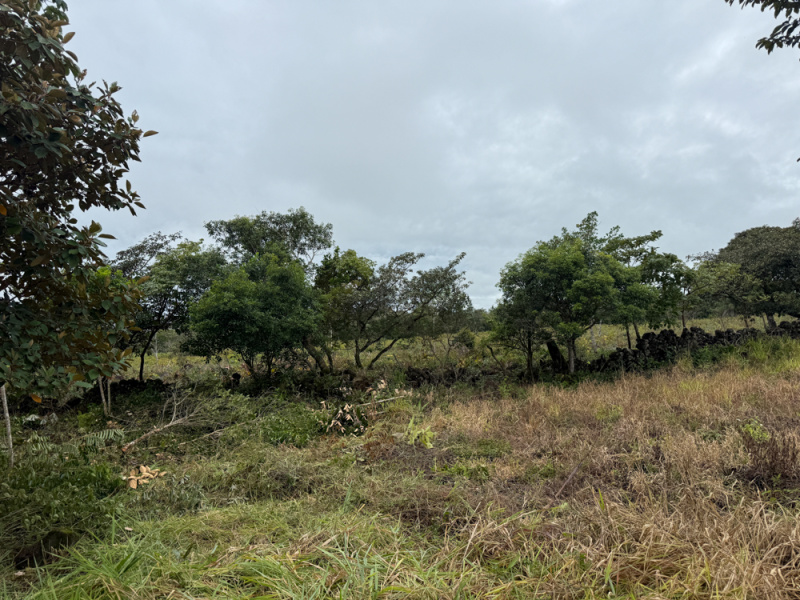 El Francés lot for sale
Alto Boquete real estate
Boquete building lot
Land for sale in Boquete
Panama building lot
Chiriquí land for sale
Mountain view lot Panama
Boquete homesite
Boquete investment property
Build your dream home in Boquete