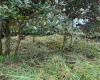El Francés lot for sale
Alto Boquete real estate
Boquete building lot
Land for sale in Boquete
Panama building lot
Chiriquí land for sale
Mountain view lot Panama
Boquete homesite
Boquete investment property
Build your dream home in Boquete