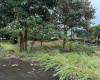 El Francés lot for sale
Alto Boquete real estate
Boquete building lot
Land for sale in Boquete
Panama building lot
Chiriquí land for sale
Mountain view lot Panama
Boquete homesite
Boquete investment property
Build your dream home in Boquete