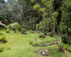 Volcan Panama real estate, Tierras Altas real estate, coffee estate for sale Panama, coffee farm Volcan Panama, historic home Panama, property for sale Volcan Panama, Chiriqui real estate, mountain estate Panama, Arabica Caturra coffee, coffee property Panama, home with guest casita Panama, estate with private spring, Volcan Chiriqui property, historic estate Volcan
